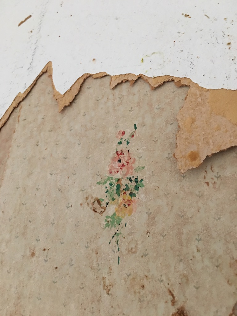 Close-up of vintage floral wallpaper uncovered beneath layers of paint at 31 Wallace Street